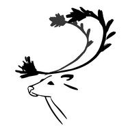 Deer silhouette drawing