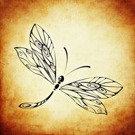 beautiful drawing of a dragonfly on the vintage paper
