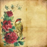 Floral Vintage Background drawing