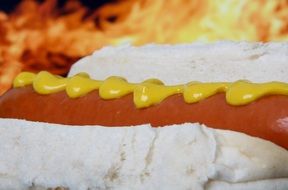 hot dog with mustard