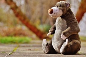 teddy bear sits on a path in a park