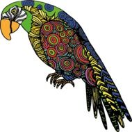 color parrot as a drawing