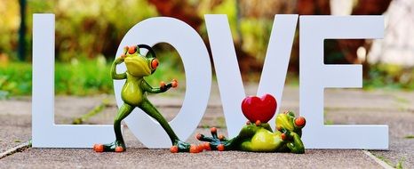 romantic decoration with a frog on the background of the word "love"