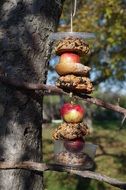 cute Autumn feeder for Birds