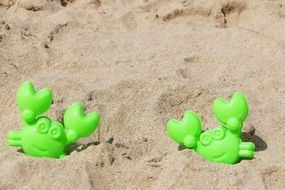 green Crab Toys on sand beach
