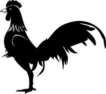 black silhouette of a cock on a white background