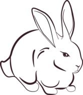 Rabbit Animal drawing