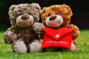 Teddy Bears with a gift beloved mother on Mother&#039;s Day