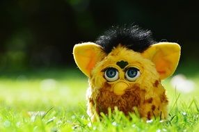 yellow furby on the green grass