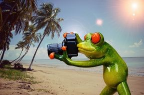 Frog photographer clipart