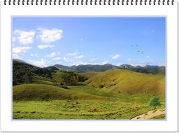Field Campestre drawing