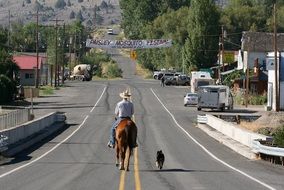 Cowboy and Dog