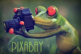 clipart of the statuette of the frog photographer