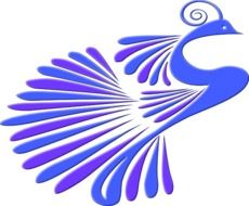 silhouette of a peacock