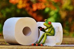 frog having session in toilet