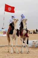 bedouins on camels with the tunisian flag