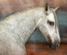 beautiful drawing of a white horse