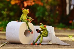 funny frogs in toilet paper