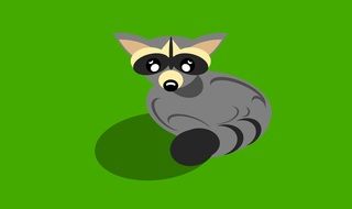 illustrated raccoon