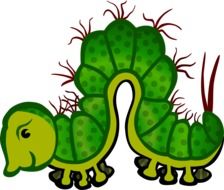 painted green caterpillar