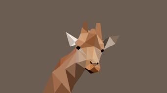 giraffe on a gray background