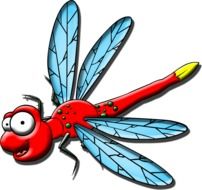 Cartoon Dragonfly drawing