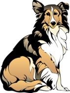 drawing of a collie dog on a white background