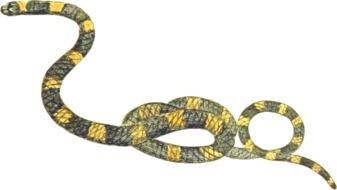 painted yellow and green snake