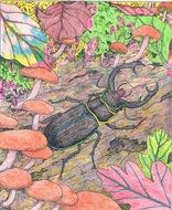 bright drawing with the image of a stag beetle
