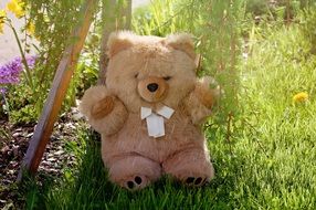 Teddy bear in the garden