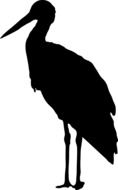 black silhouette of a stork