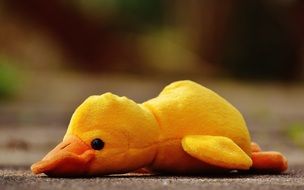 Duck Funny Soft Toy Toys