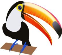 graphic image of a bright exotic bird