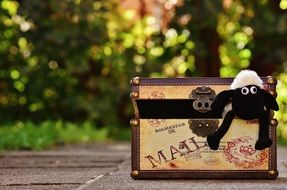soft toy in the form of a sheep in a box
