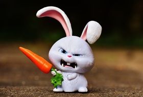 evil bunny with a carrot in hand