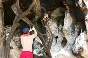 tourist takes pictures of the monkey