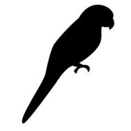 Silhouette Bird Parrot drawing