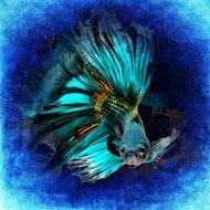 drawing a fish in the blue colors