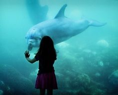 girl watching huge aquarium