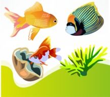 illustration with aquarium fish