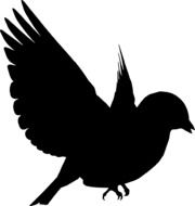 Silhouette Bird Flying drawing