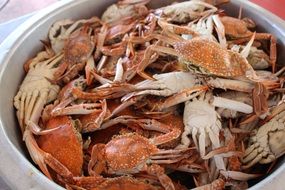 boiled crabs in a white plate