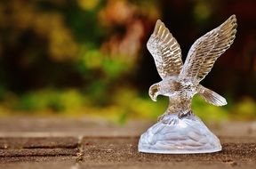 perfect beautiful Raptor Adler Glass Fig