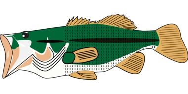painted fish with an open mouth