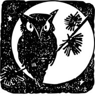 Owl Moon Bird drawing