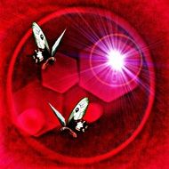 Butterflies at red Abstract background