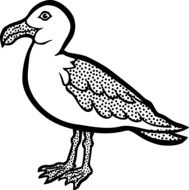 black and white drawing of a seagull