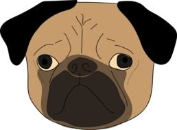 The Pug drawing