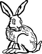 hare with long ears as a graphic image