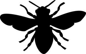 black silhouette of an insect on a white background